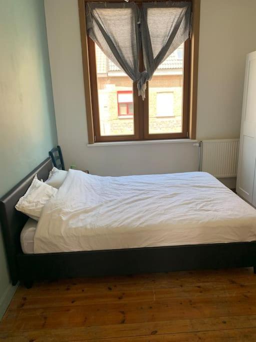 Burgerwoning Bij Brugge Villa Eksteriør billede